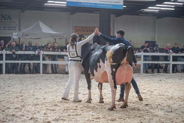 Hartje 362 (v. Malki) van de familie Brekelmans prolongeerde haar titel in Asten-Heusden (foto: Fleur Maartje Bakker)
