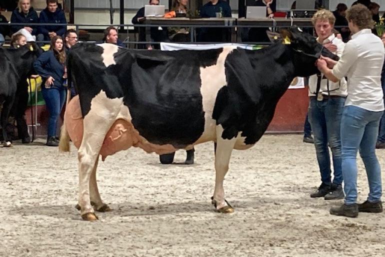 Algemee kampioene VVH Helga 9 produceerde al ruim 94.000 kg melk