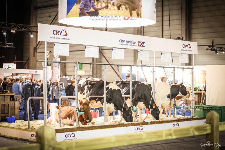 De organisatie van Agriflanders hoopt dat er in 2027 weer veel animo zal zijn voor de prijskampen