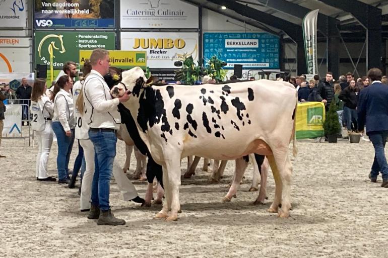 Perfectdochter Gretha 528 won in Dronten de reservetitel