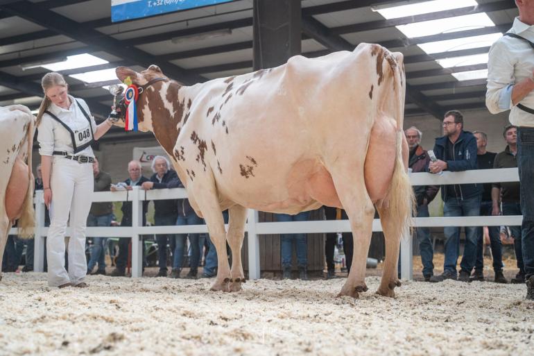 Seniorkampioene Tienmorgen Thea 37 (v. Agent) wint in Asten-Heusden ook algemeen kampioenschap (foto: Fleur Maartje Bakker)