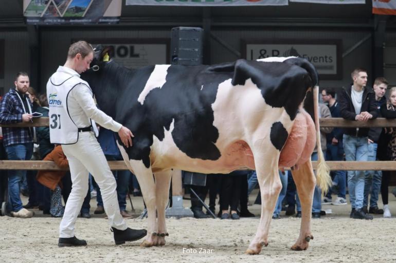 Middenklaskampioene Thea 294 (v. Malki) won in Tolbert het algemeen kampioenschap (foto: Foto Zaar)