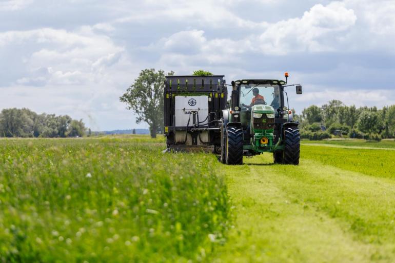 Bij een totaalgift van 70 kg stikstof (uit drijfmest en kunstmest) per hectare was de productie van klaver- en kruidenrijk grasland hetzelfde als van regulier grasland met een bemesting van 300 kg stikstof per hectare