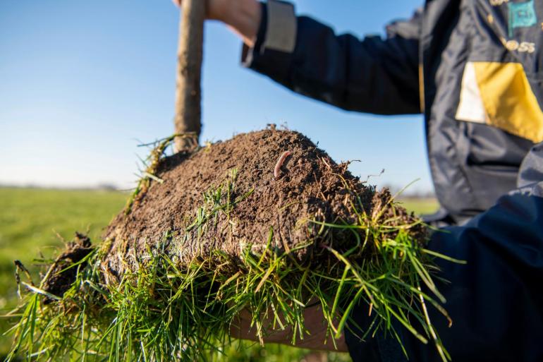 Kijk in het voorjaar goed naar de bovenste laag van de graszode en onderzoek de hoeveelheid humus