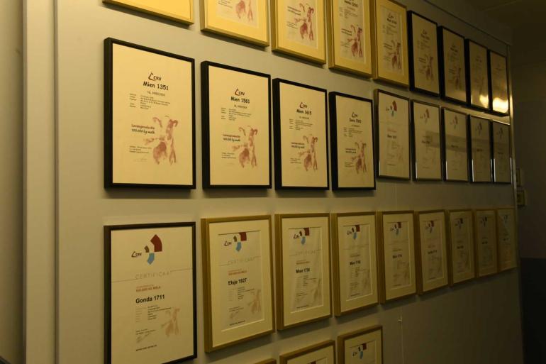 De muur bij de familie Meijer uit Blijham hangt vol met predicaten voor honderdtonners