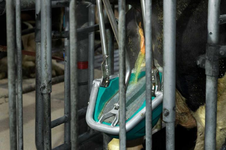 De emissiefactor van het koetoilet is vastgesteld op 6 kg ammoniak per dierplaats per jaar