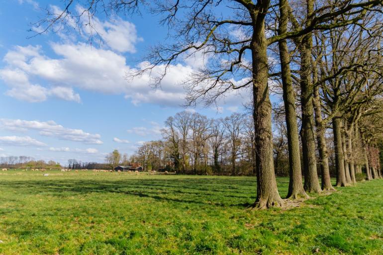 Deelnemers aan de extensiveringsregeling lopen vooruit op een mogelijke zonering rond stikstofgevoelige Natura 2000-gebieden