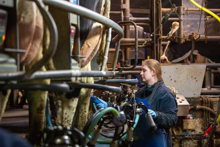 De melkaanvoer in Europa liep in januari met 0,4 procent terug
