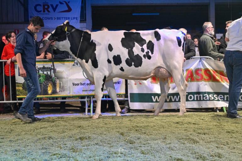 Hotlinedochter Landaas Mina 0879 won de vaarzentitel in Ermelo (foto: Fleur Maartje Bakker)