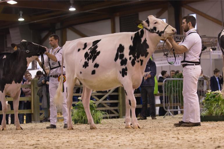 Agribex