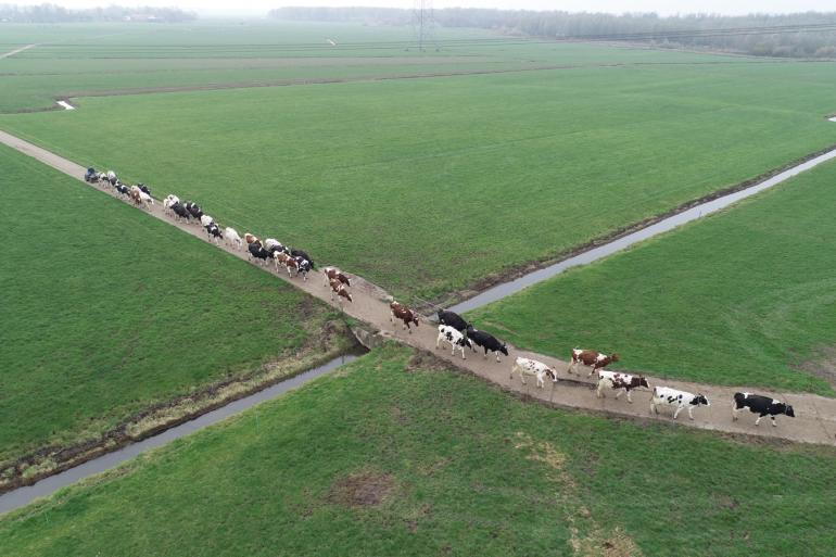 De pachtprijsnormen voor 2025 zijn in 13 van de 14 regio’s gestegen, omdat in de berekening van het vijfjarig gemiddelde voor grondbeloning, het redelijke inkomensjaar 2018 is vervangen door het goede inkomensjaar 2023