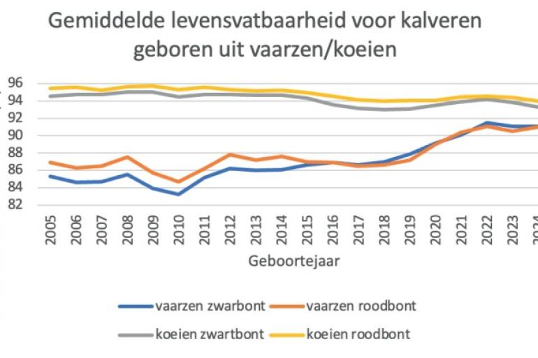 Figuur 1 – Gemiddelde levensvatbaarheid in percentage voor zwartbonte en roodbonte dieren geboren uit vaarzen en koeien per geboortejaar (bron: AEU, CRV)