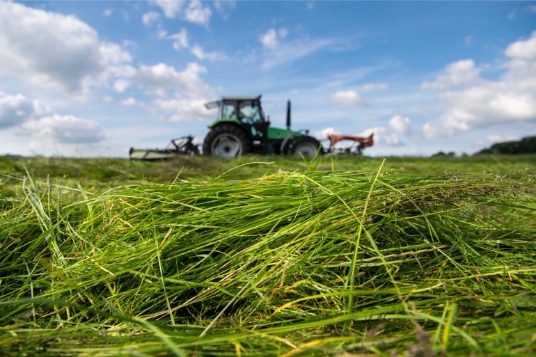 Zelfs als het gras nog maar drie weken aan de groei is, kun je dat bloeiende spul volgens de Weideman maar beter bij de eerste gelegenheid maaien