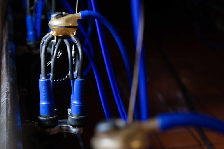 Op de beste Duitse bedrijven heeft driekwart van de koeien een celgetal dat lager is dan 100.000 cellen per milliliter