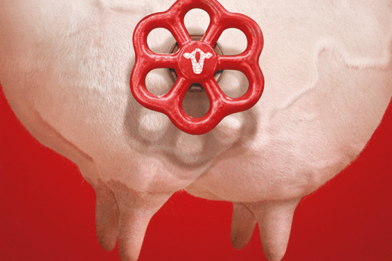 2524599-Bovikalc-Pay-back-actie-298x253px.gif