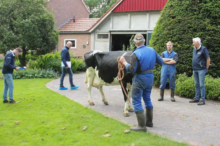 Juryleden Roy Scheperboer en Erik Nijenhuis beoordelen Kitty 316 (v. Fidelity) van de familie Van Ittersum uit Rutten (foto: Jan Hendriks)