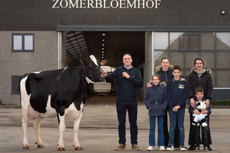 Lola van het Zomerbloemhof (v. Reflector) is de vijftigste koe met 100.000 kg melk voor de familie Lahousse
