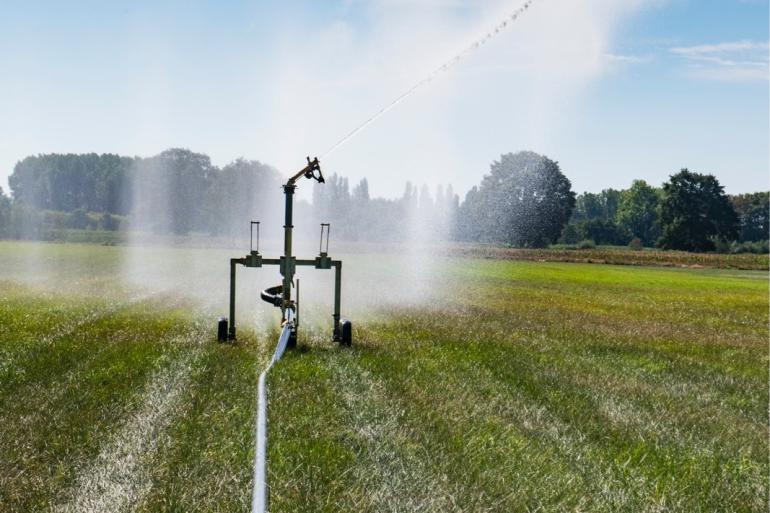 Beregenen kost 456 euro per hectare
