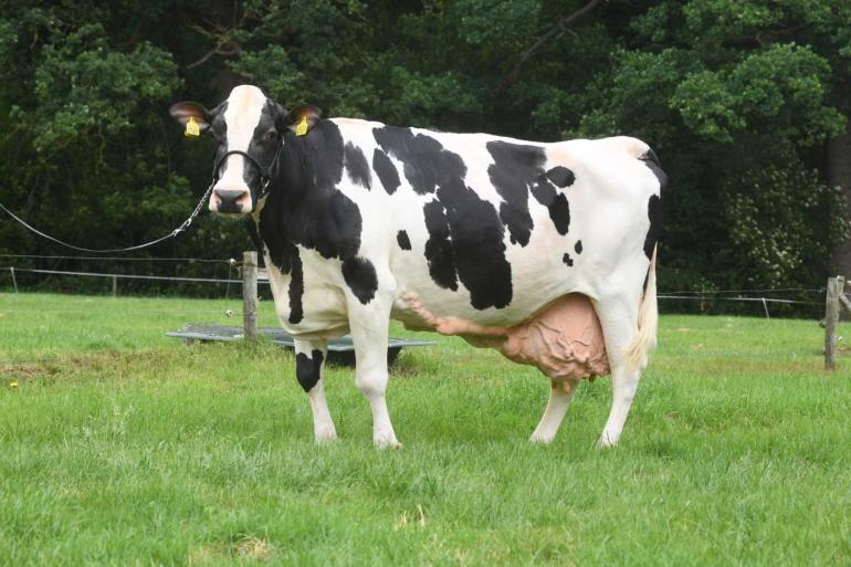 De Nederlandse Langemeins Jantje 129 produceerde tot nu toe ruim 233.000 kg melk