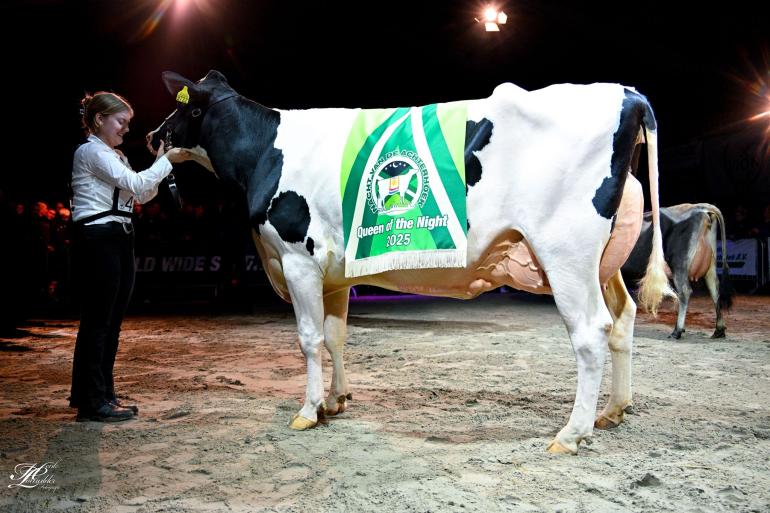 Maartje 19 (v. Bad) is gekroond tot Queen of the Night in Aalten (foto: Henk Lomulder)
