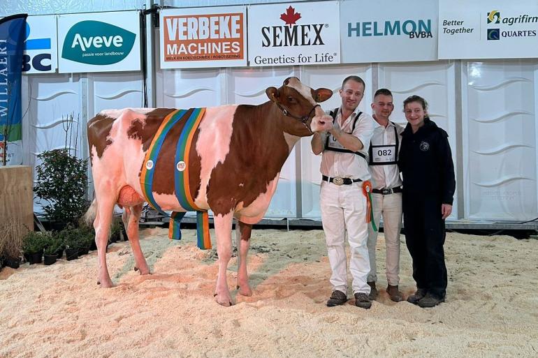 Anousche (v. Avance) van Tiede Mazereel en Joyce Dobbelaere uit Reninge won op de Koeparade het algemeen kampioenschap