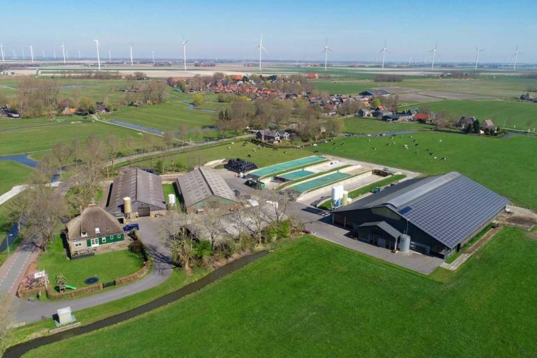 In 2040 blijft volgens Rabobank de helft over van het aantal melkveebedrijven in 2023