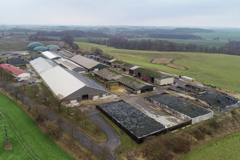 Melkveehouders in de belangrijkste zuivelexporterende landen in de wereld produceerden in de eerste tien maanden van 2025 zo’m 1,9 procent meer melk dan in de eerste tien maanden van 2024