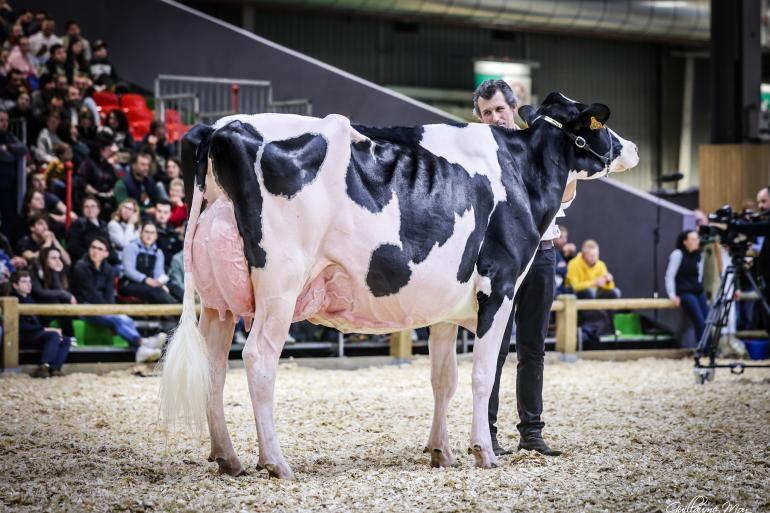 Vorig jaar won Hotlinedochter Robinard Pastèque de titel op de SIA (foto: Guillaume Moy)