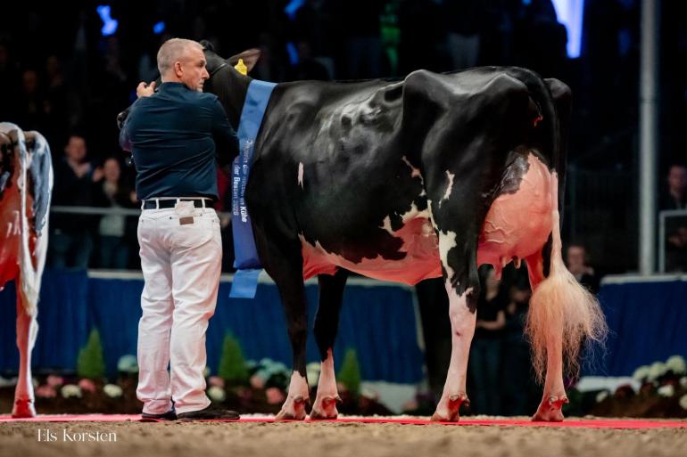 Louella treedt met de titel Miss Schau der Besten in de voetsporen van haar stalgenote O Katy (foto: Els Korsten)