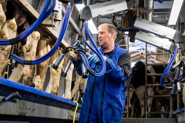 Niet eerder lag de Nederlandse melkaanvoer in januari op zo'n hoog niveau