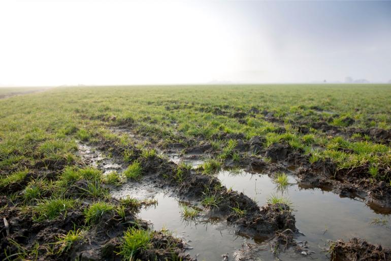 Ondanks de huidige neerslag is het waterpeil in Zuid- en West-Brabant nog erg laag