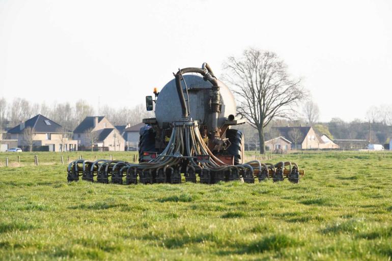 Bedrijven die onder de drempelwaarde scoren voor nitraatresidu, kunnen een vrijstelling krijgen van strengere bemestingsnormen