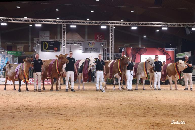 In 2023 deden nog zes verschillende rassen mee aan de German Dairy Show