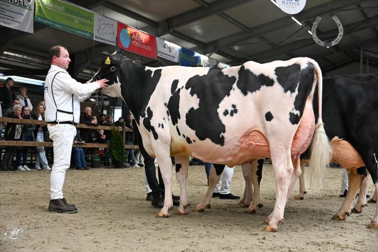 Het algemeen kampioenschap in Tolbert ging naar Cinderella 1 (foto: Henk Lomulder)