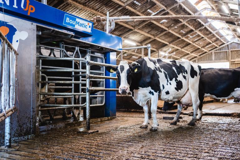 Internationale uitwisseling over beweiding en melkrobots