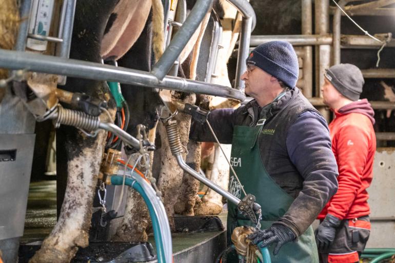 Extra produceren door het leasen van fosfaatrechten gaat op dit moment ten koste van de financiële buffer