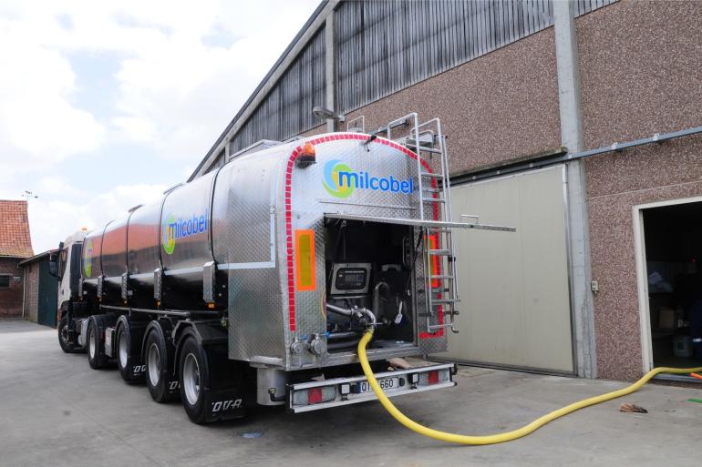 Het aantal melkleverende veehouders in Vlaanderen daalde van 3,429 in 2024 naar 3.293 in 2025. De afgeleverde melkplas bleef met 3,10 miljard kg wel op peil