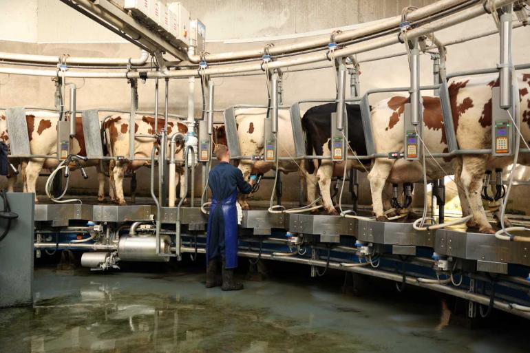 Bijna de helft van de Europese melkfabrieken in de melkprijsvergelijking noteerde in januari een melkprijs die lager was dan 40 euro per 100 kg melk