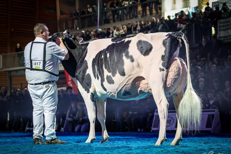 De vierjarige Schönhof Alligator Dakota won in Bulle de zwartbonttitel (foto: Guillaume Moy)