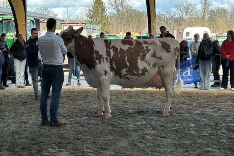 Edelweiss, met inmiddels ruim 100.000 kg melk op de teller, prolongeerde bij roodbont het algemeen kampioenschap