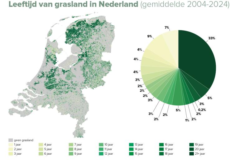 Gemiddelde leeftijd van grasland in Nederland in de periode 2004 tot 2024 (bron: Kligras)