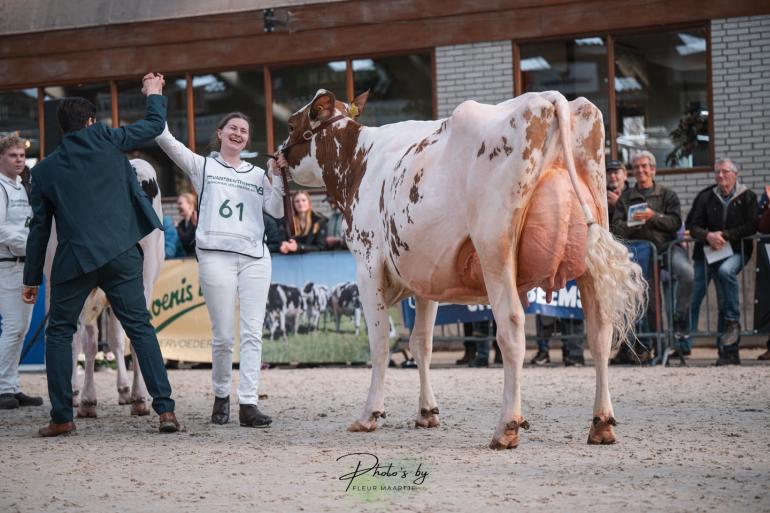 F.H.D. Amber behaalde na het winnen van de middenklasse ook het algemeen kampioenschap in Middenmeer (foto: Fleur Maartje Bakker) 