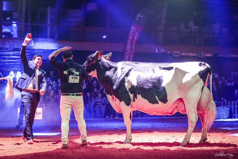 De Luxemburgse Attert Rose (v. Carlos) won het algemeen kampioenschap in Libramont