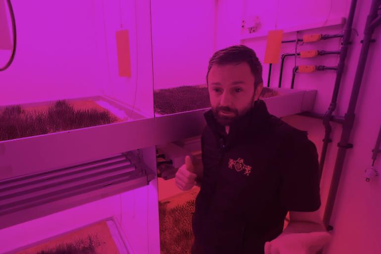In de proefopstelling wordt geëxperimenteerd met verschillende lichtsoorten (foto Omroep Rijnmond)