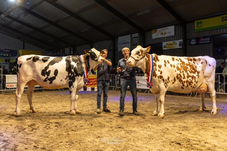 Bij de vaarzen won Chief Linda, bij de koeien met een levensproductie van meer dan 50.000 kg melk ging de titel naar J&G Trilux 152 (foto: Cilia Hoekman)