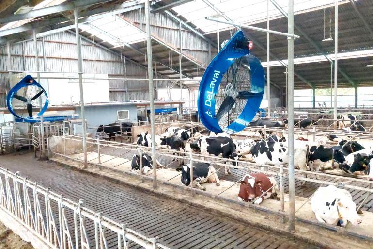 CowCooling in praktijk