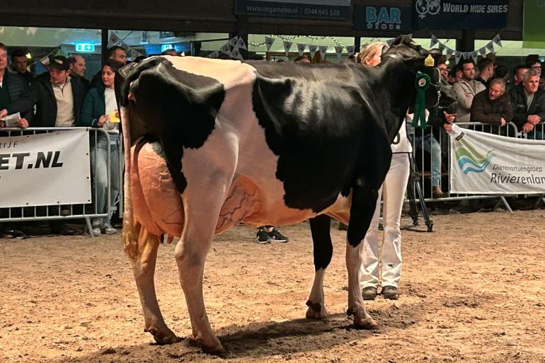Barnkamper Marilyn 812 (v. Merryguy) won in Kapel-Avezaath de titel bij de senioren