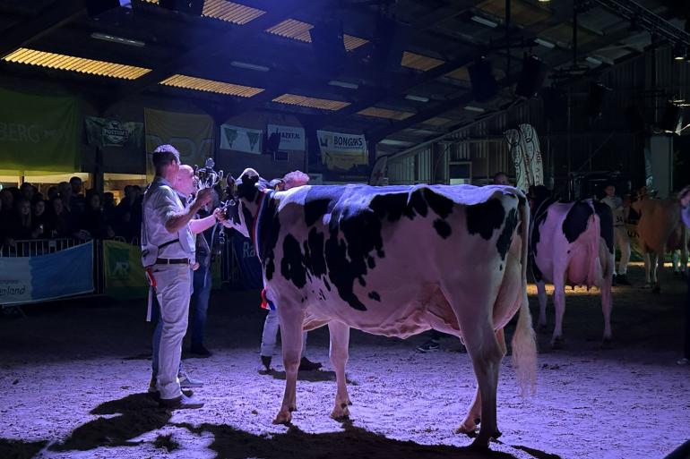 Willem’s-Hoeve Rita 2679 (v. Viano) is de nieuwe Miss Betuwe