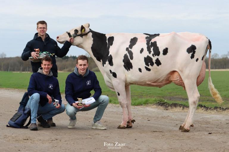 De winnaars van het NK veebeoordelen voor studenten: Siem van Deelen (staand), Ties te Braake (links) en Arjen Peters (foto: Foto Zaar/Zarènde Gunnink))