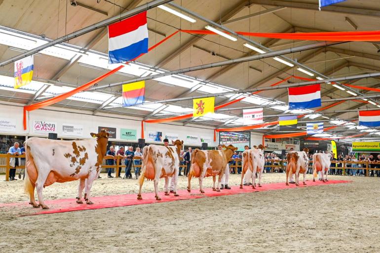 In 2024 vond de eerste editie van de Nationale Roodbont Show plaats